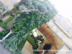 Firenze dove organizzare una festa a tema natura
