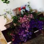 contenitori insoliti per fiori, Unusual containers for flowers