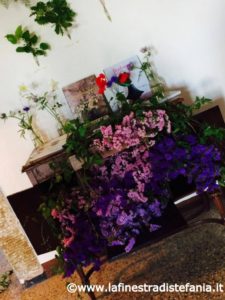 contenitori insoliti per fiori, Unusual containers for flowers