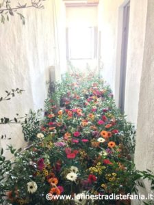 corridoio pieno di fiori colorati, Corridor full of colorful flowers