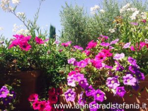 In Italia, è in arrivo il bonus verde per la cura di terrazzi e giardini, In Italy, the green bonus for the care of terraces and gardens is on the way