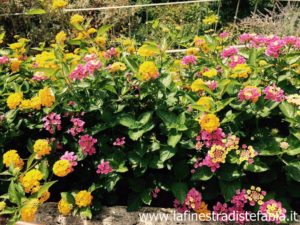 Quanto si risparmia per rifare il giardino con il bonus verde? What is the green bonus?