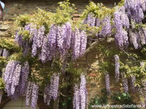 Cosa è il bonus verde? Quanto si risparmia per fare un nuovo giardino o un nuovo terrazzo?
