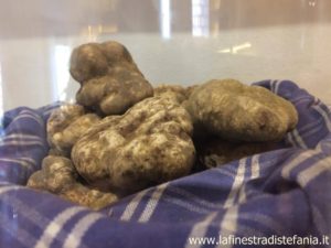 Dove trovare i tartufi in Toscana, Where to find truffles in Tuscany