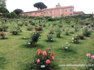 i migliori produttori di rose nel mondo