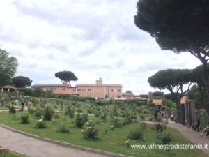 le rose più belle del mondo