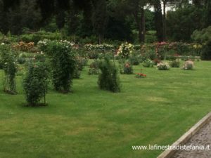 quali sono i più importanti produttori di rose al mondo