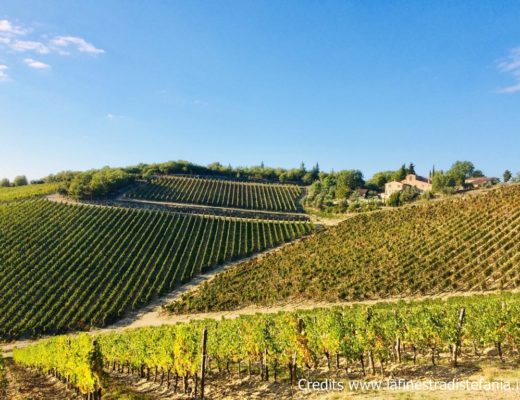 Terre di Gaiole, le aziende vinicole del territorio