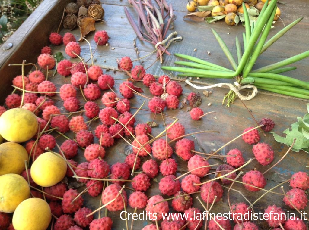 ideas for the table with fruits and autumn flowers to do at home, Csaba Dalla Zorza