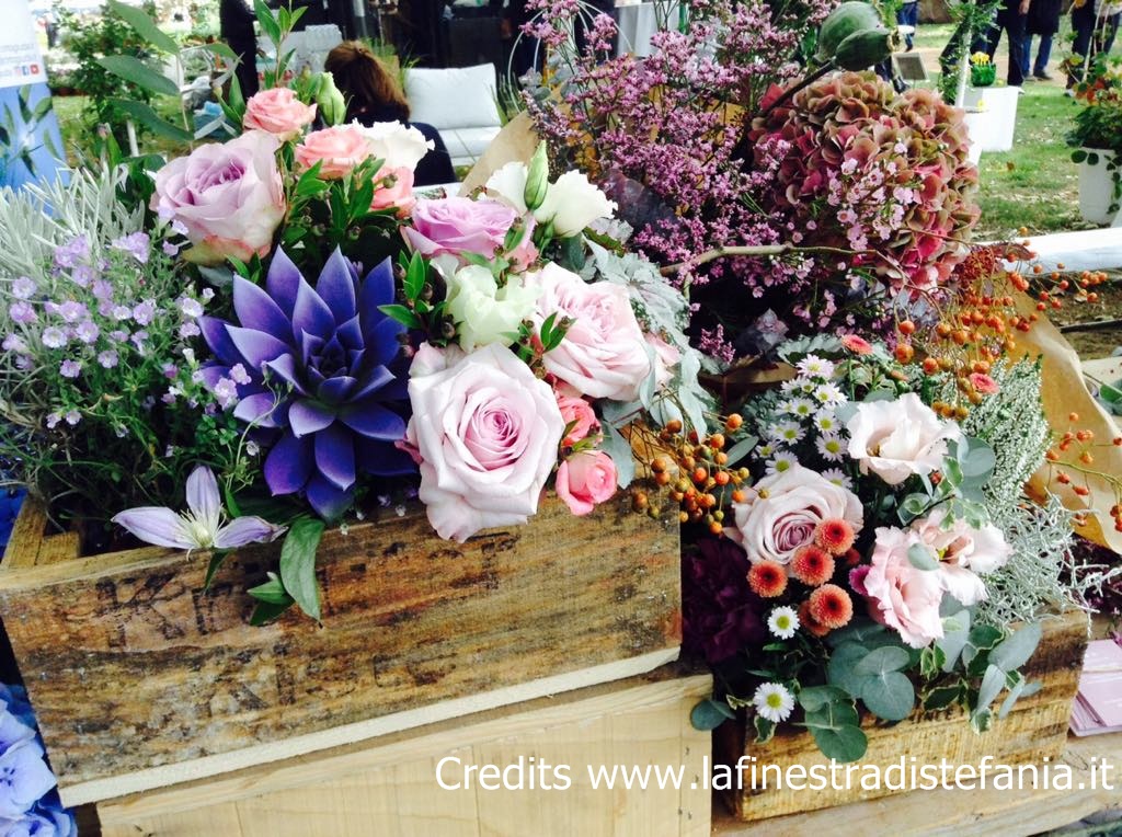 centrotavola autunnali, Csaba Dalla Zorza