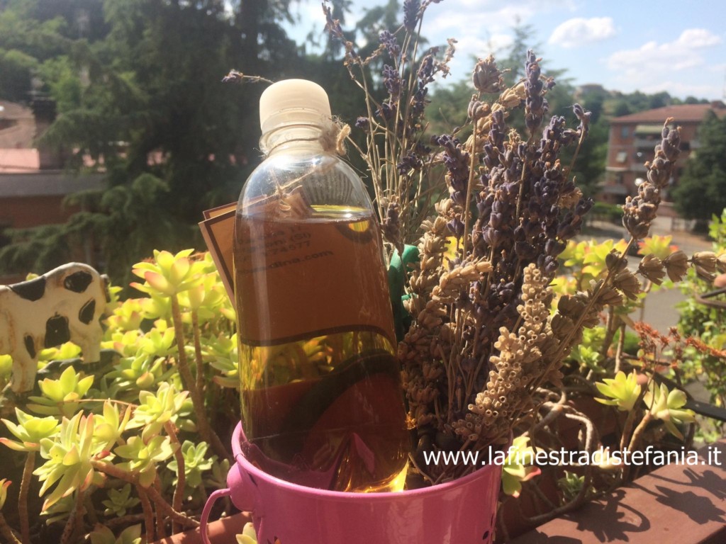 acqua-di-lavanda-per-tenere-lontano-le-zanzare.jpg