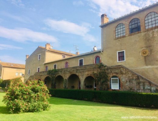 Rose rampicanti sui muri in pietra della Tenuta San Guido a Bolgheri, con vista sui vigneti del Sassicaia.