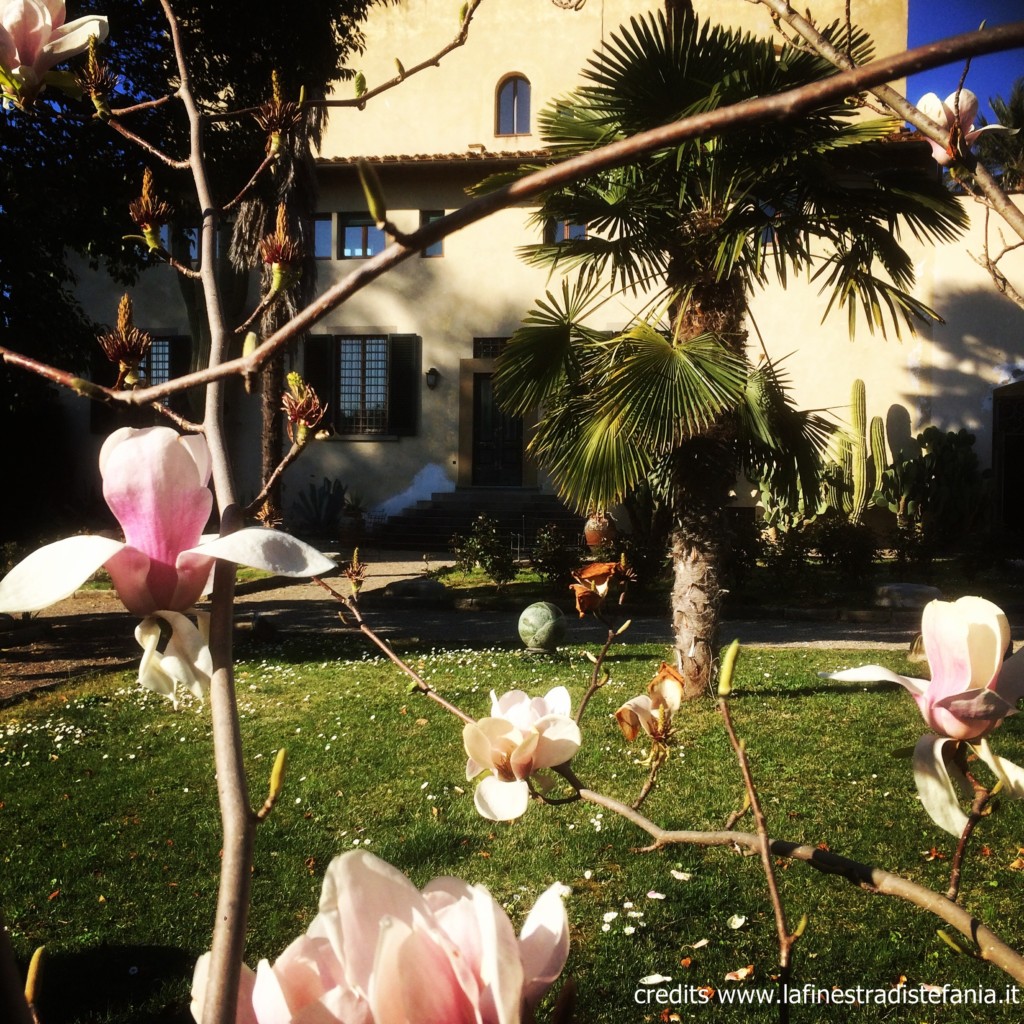 giardino-Odoardo-Beccari.jpg