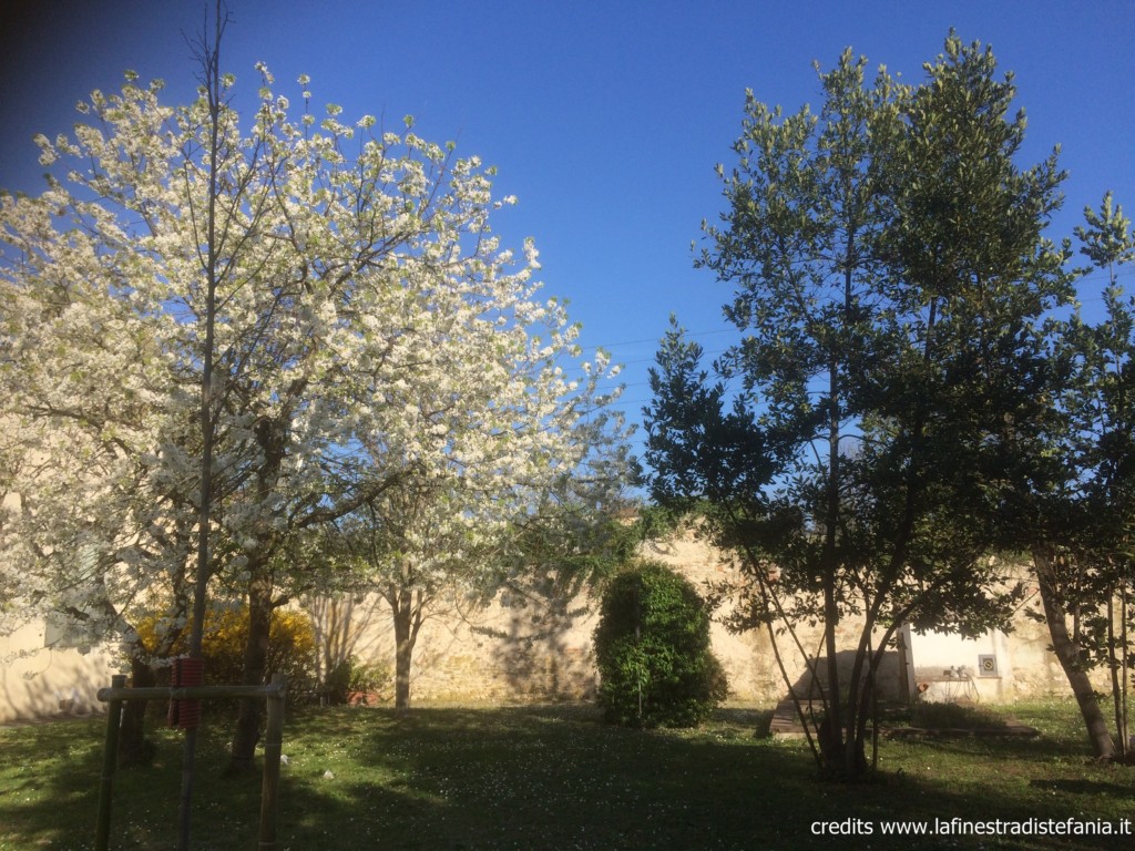 Il-giardino-di-Odoardo-Beccari.jpg