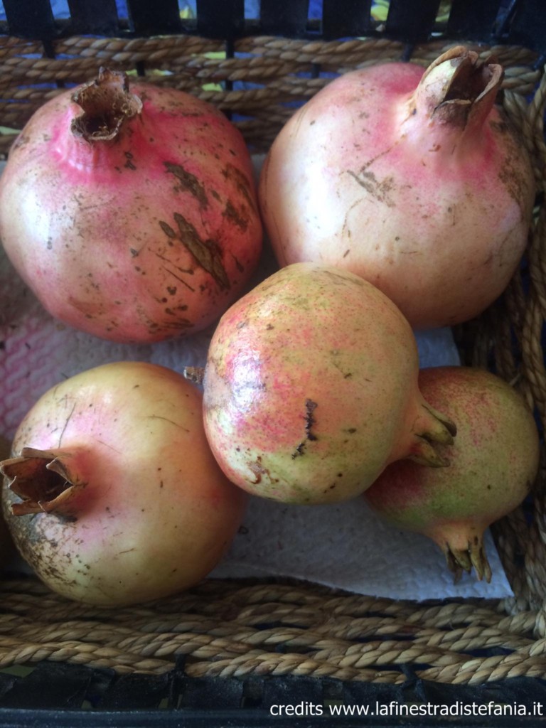 frutti-di-melagrana.jpg