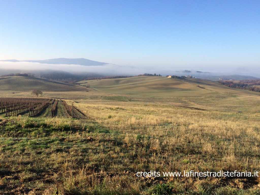 21-dicembre-solstizio-d-inverno