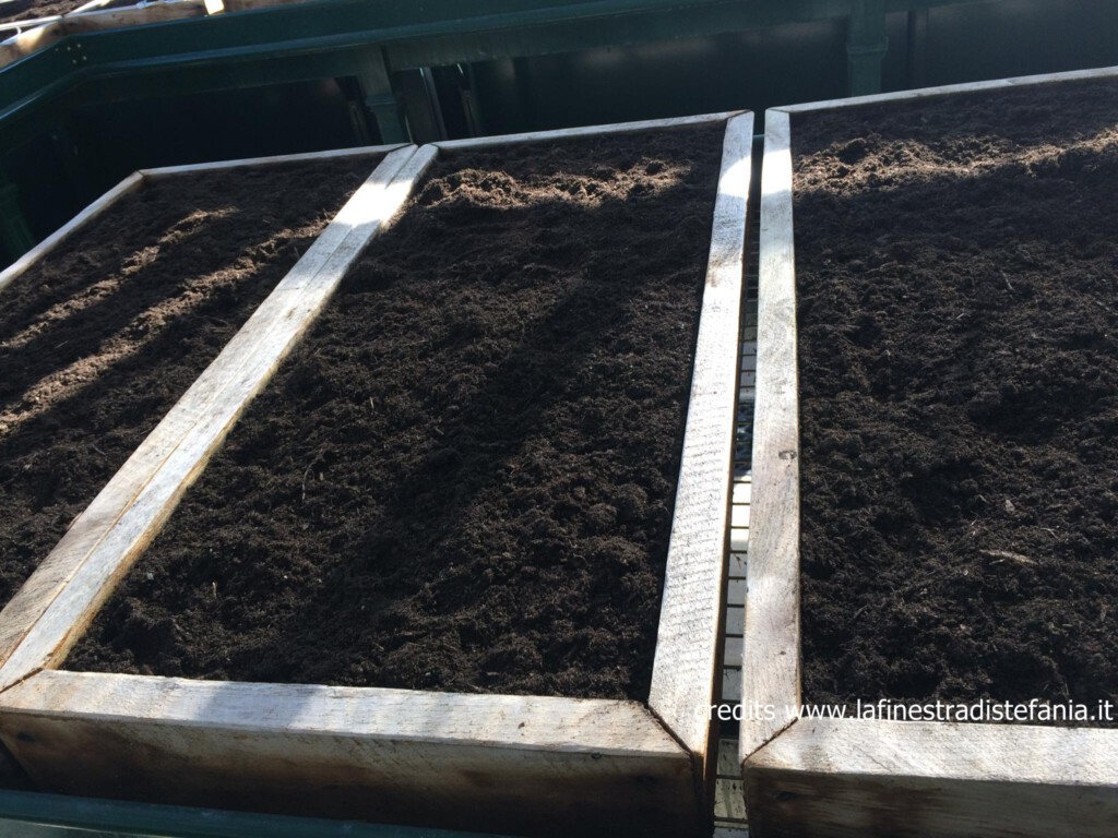 come-preparare-un-semenzaio-con-i-bambini.jpg