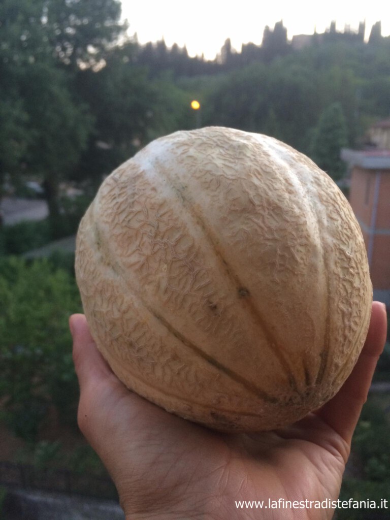 tutte-le-varietà-di-melone-in-Italia.jpg