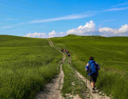 Un gruppo di camminatori attraversa le strade bianche delle Crete Senesi lungo la Via Lauretana Toscana.