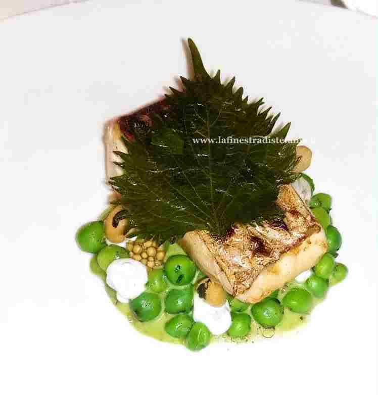ricciola con piselli e shizu