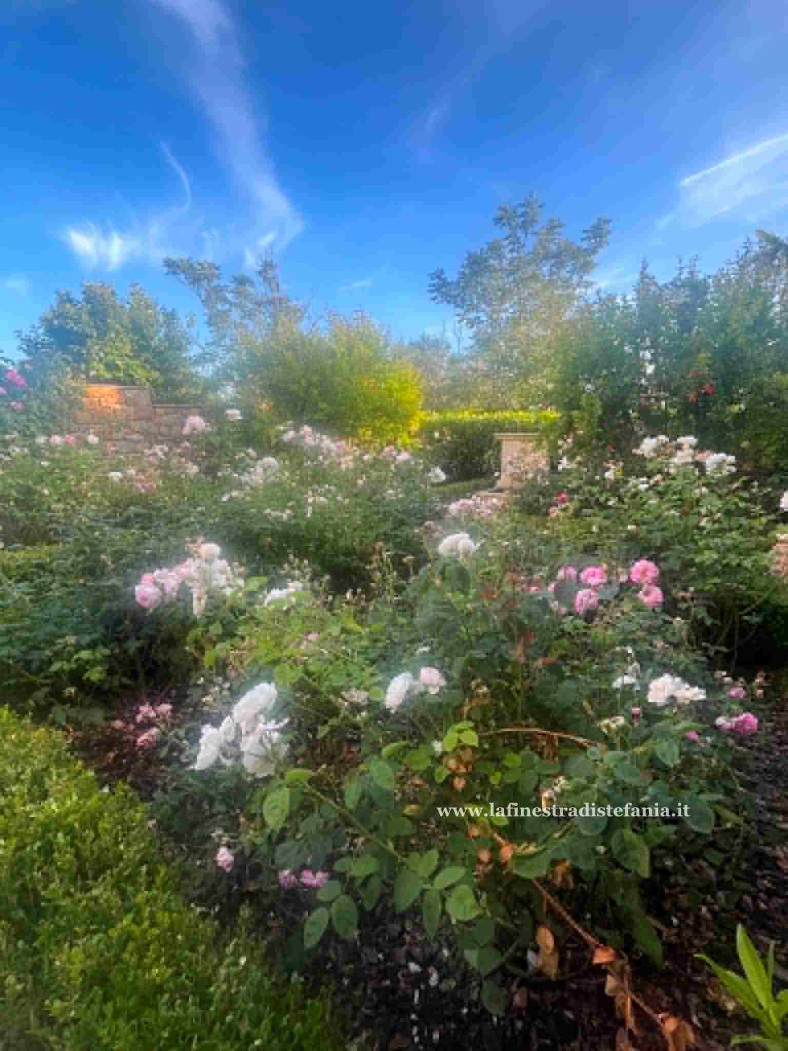 come creare un roseto in un giardino di hotel